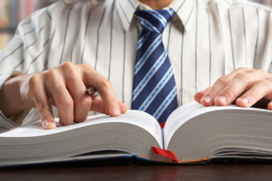 Businessman or professor reading journal