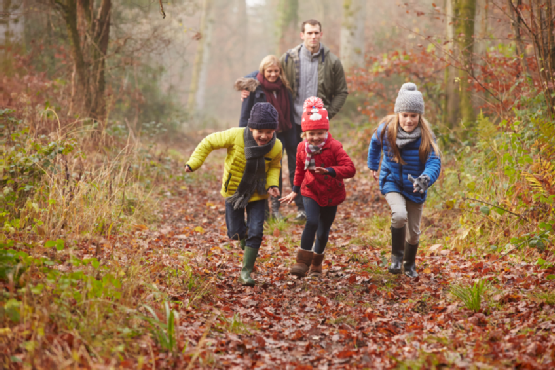 Family Walking Through Winter Woodland